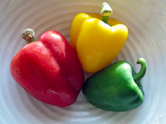 Bell Peppers (Capsicum)